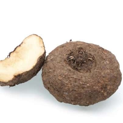 Elephant Yam / Suran